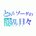 とあるソーダの波乱日々（キチデイ）