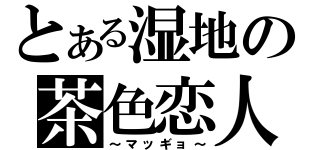 とある湿地の茶色恋人（～マッギョ～）