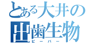 とある大井の出歯生物（ビーバー）