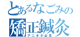 とあるなごみの矯正鍼灸（アニオタ必見）