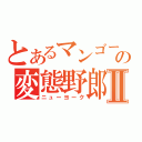 とあるマンゴー頭の変態野郎Ⅱ（ニューヨーク）