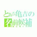 とある亀吉の名前候補（絶対嫌だ）