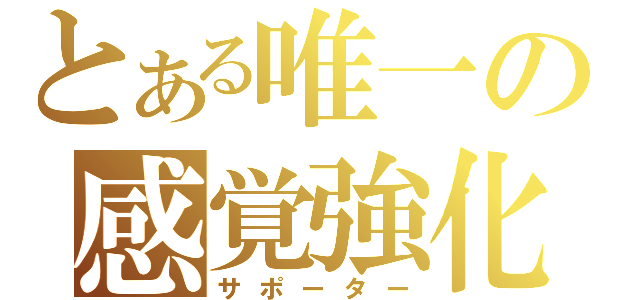 とある唯一の感覚強化（サポーター）