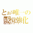 とある唯一の感覚強化（サポーター）