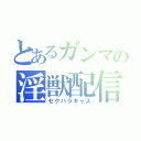 とあるガンマの淫獣配信（セクハラキャス）