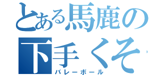 とある馬鹿の下手くそ（バレーボール）