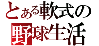 とある軟式の野球生活（）