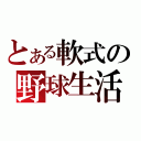 とある軟式の野球生活（）