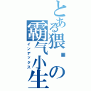 とある猥琐の霸气小生（インデックス）