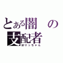 とある闇の支配者（ほりっちゃん）