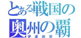 とある戦国の奥州の覇者（伊達政宗）