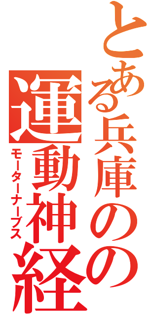 とある兵庫のの運動神経Ⅱ（モーターナーブス）