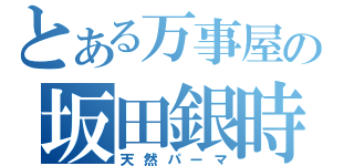 とある万事屋の坂田銀時（天然パーマ）