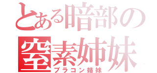 とある暗部の窒素姉妹（ブラコン姉妹）