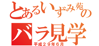 とあるいずみ苑のバラ見学（平成２９年６月）