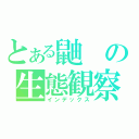 とある鼬の生態観察（インデックス）