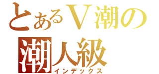 とあるＶ潮の潮人級（インデックス）