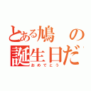 とある鳩の誕生日だそうで（おめでとう）