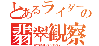 とあるライダー達の翡翠観察（カワセミオブザベイション ）