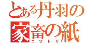 とある丹羽の家畜の紙（ニワトリ）