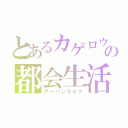 とあるカゲロウの都会生活（アーバンライフ）