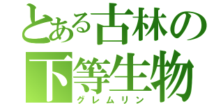 とある古林の下等生物（グレムリン）