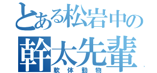 とある松岩中の幹太先輩（軟体動物）