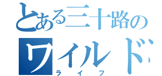 とある三十路のワイルド（ライフ）