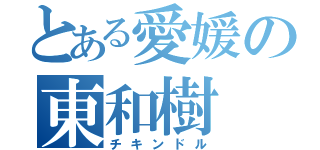 とある愛媛の東和樹（チキンドル）