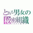 とある男女の秘密組織（メカクシ団）