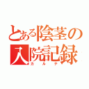 とある陰茎の入院記録（カルテ）