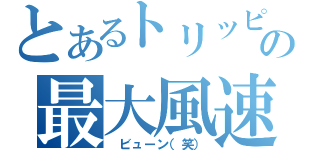 とあるトリッピーの最大風速（　ビューン（笑））