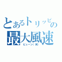 とあるトリッピーの最大風速（　ビューン（笑））