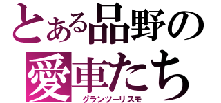 とある品野の愛車たち（ グランツーリスモ）