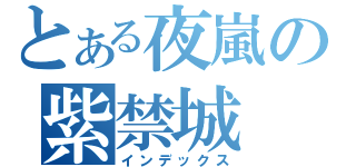 とある夜嵐の紫禁城（インデックス）