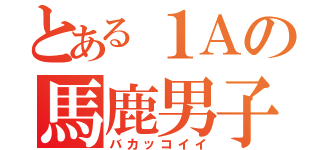 とある１Ａの馬鹿男子（バカッコイイ）