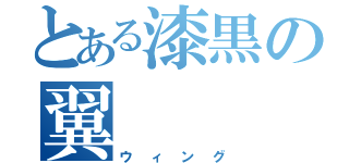 とある漆黒の翼（ウィング）