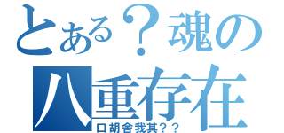 とある？魂の八重存在（口胡舍我其？？）