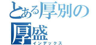 とある厚別の厚盛（インデックス）