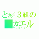 とある３組の　カエル（すいれんか）