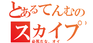 とあるてんむのスカイプ（必死だな、オイ）