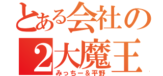 とある会社の２大魔王（みっちー＆平野）