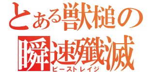 とある獣槌の瞬速殲滅（ビーストレイジ）