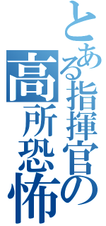 とある指揮官の高所恐怖症（）