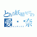 とある妖精尾巴の愛貓ℓ奈（インデックス）