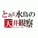 とある水鳥の天井観察（ボキャブルティーアウト）