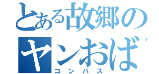 とある故郷のヤンおばさん（コンパス）