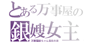 とある万事屋の銀嫂女主人（万事屋銀ちゃん是我夫君）