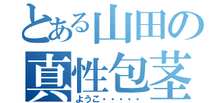 とある山田の真性包茎（ようこ・・・・・）