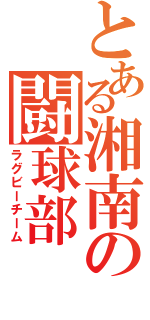 とある湘南の闘球部（ラグビーチーム）